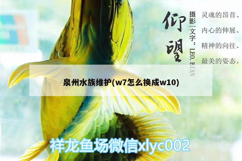 泉州水族維護(w7怎么換成w10)