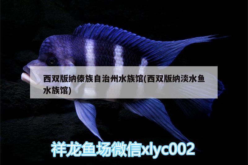 西雙版納傣族自治州水族館(西雙版納淡水魚水族館)