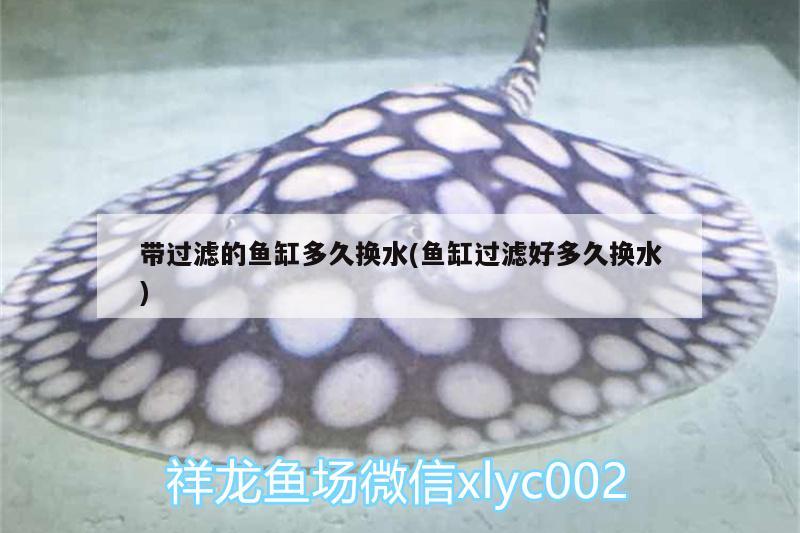 帶過(guò)濾的魚(yú)缸多久換水(魚(yú)缸過(guò)濾好多久換水) 短身紅龍魚(yú)