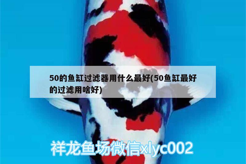 50的魚缸過(guò)濾器用什么最好(50魚缸最好的過(guò)濾用啥好) 養(yǎng)魚的好處