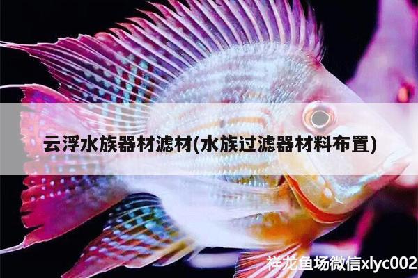 云浮水族器材濾材(水族過濾器材料布置)