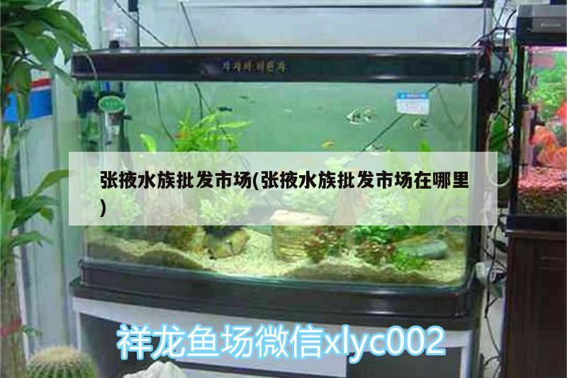 張掖水族批發(fā)市場(chǎng)(張掖水族批發(fā)市場(chǎng)在哪里)