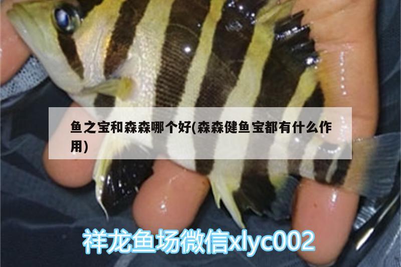 魚之寶和森森哪個好(森森健魚寶都有什么作用) 魚缸水質(zhì)穩(wěn)定劑