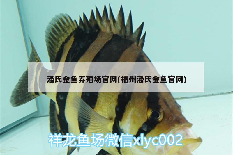 潘氏金魚養(yǎng)殖場(chǎng)官網(wǎng)(福州潘氏金魚官網(wǎng)) 金老虎魚