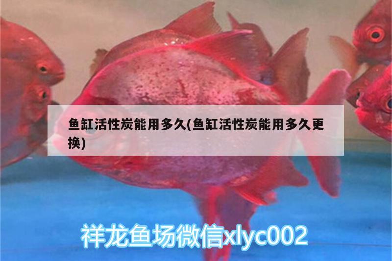 魚缸活性炭能用多久(魚缸活性炭能用多久更換) 白寫錦鯉魚