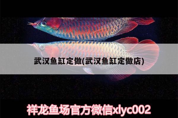 武漢魚缸定做(武漢魚缸定做店)