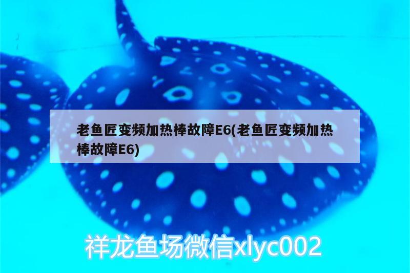 老魚匠變頻加熱棒故障E6(老魚匠變頻加熱棒故障E6) 老魚匠