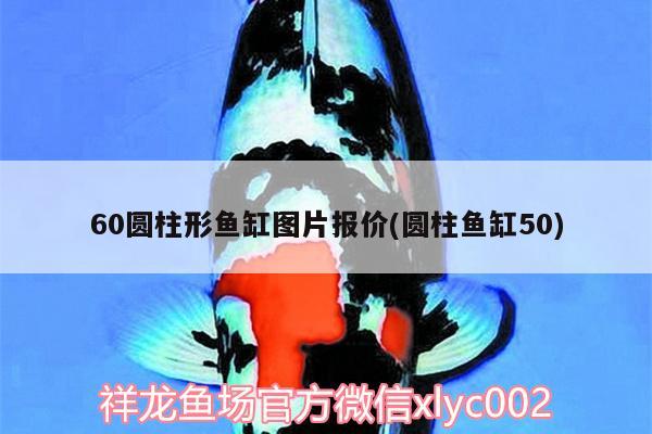 60圓柱形魚缸圖片報(bào)價(jià)(圓柱魚缸50) 金三間魚