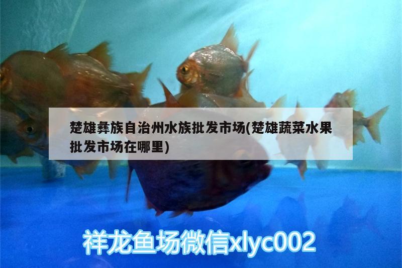 楚雄彝族自治州水族批發(fā)市場(楚雄蔬菜水果批發(fā)市場在哪里)