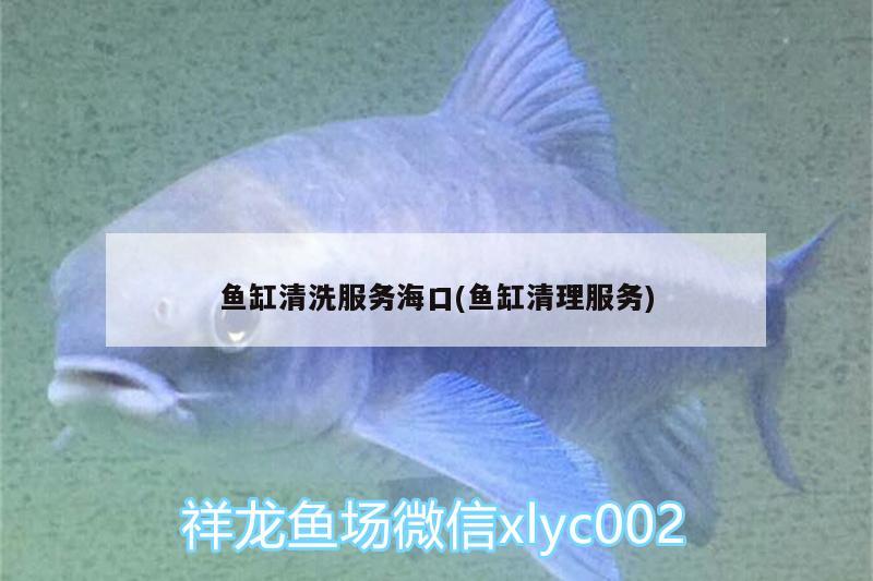 魚缸清洗服務(wù)?？?魚缸清理服務(wù))