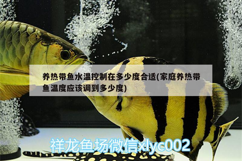 養(yǎng)熱帶魚水溫控制在多少度合適(家庭養(yǎng)熱帶魚溫度應(yīng)該調(diào)到多少度)