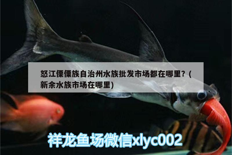 怒江傈僳族自治州水族批發(fā)市場(chǎng)都在哪里？(新余水族市場(chǎng)在哪里)