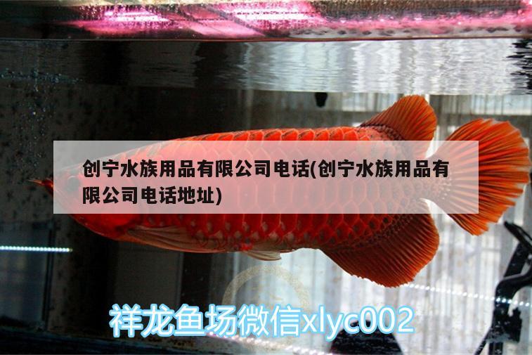 創(chuàng)寧水族用品有限公司電話(創(chuàng)寧水族用品有限公司電話地址) 創(chuàng)寧水族