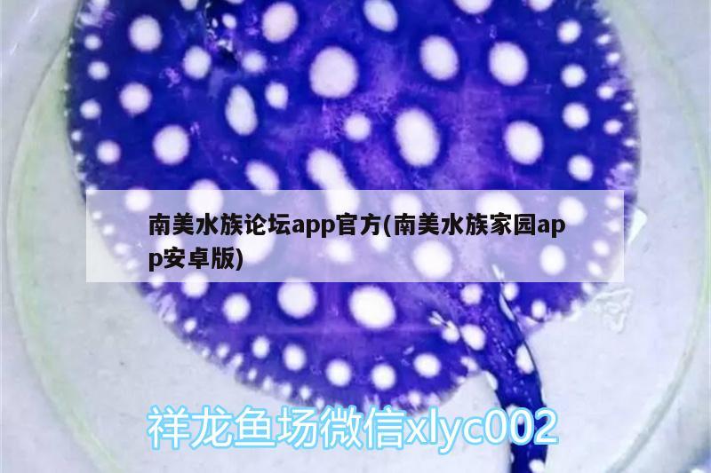 南美水族論壇app官方(南美水族家園app安卓版) 元寶鯽