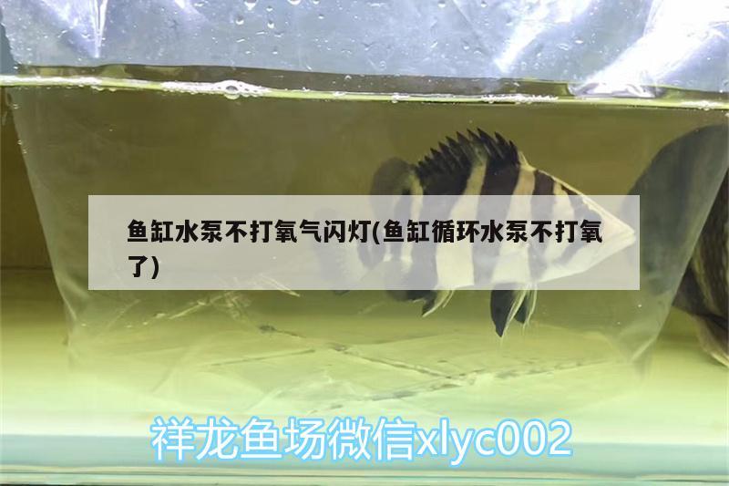 魚缸水泵不打氧氣閃燈(魚缸循環(huán)水泵不打氧了) 魚缸水泵