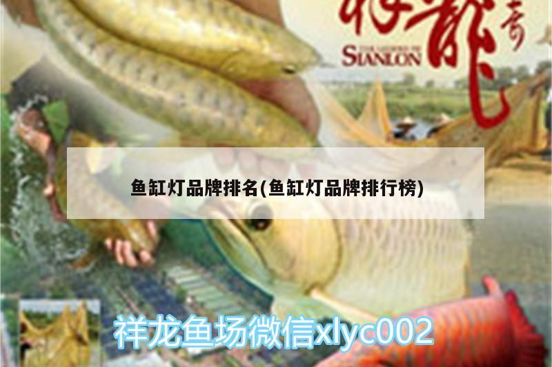 魚缸燈品牌排名(魚缸燈品牌排行榜) 三間鼠魚