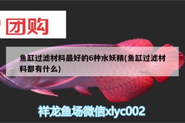 魚缸過濾材料最好的6種水妖精(魚缸過濾材料都有什么) 養(yǎng)魚的好處 第2張