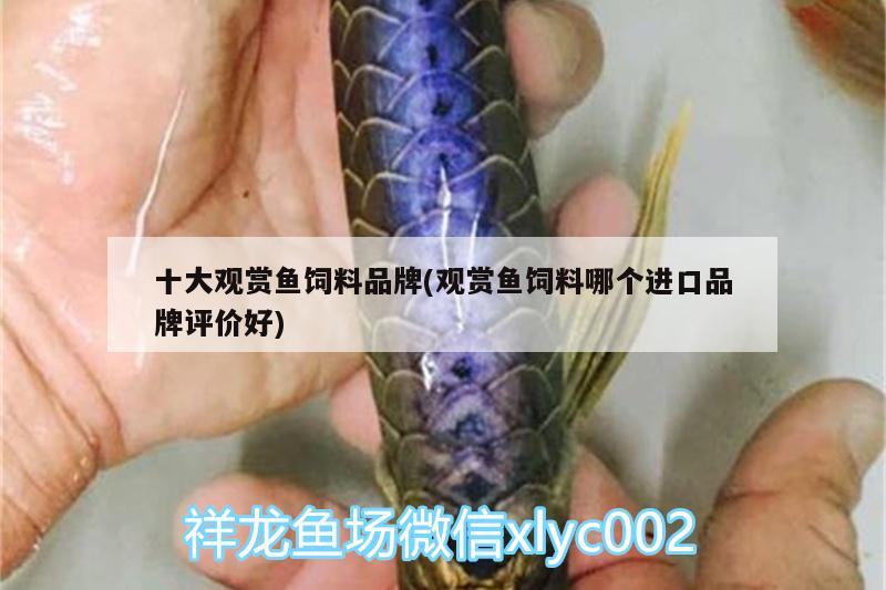 十大觀賞魚飼料品牌(觀賞魚飼料哪個進口品牌評價好)