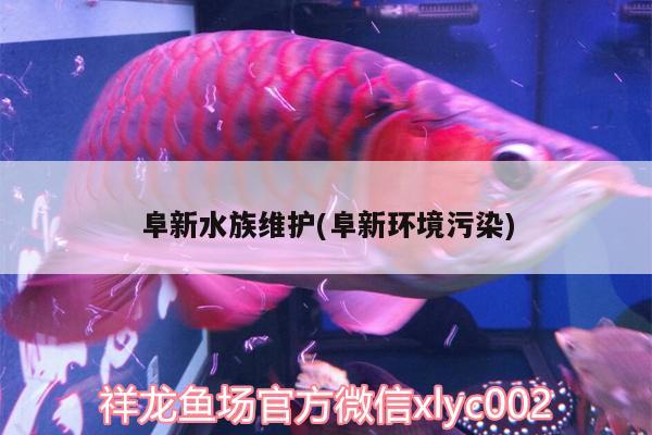 阜新水族維護(hù)(阜新環(huán)境污染)