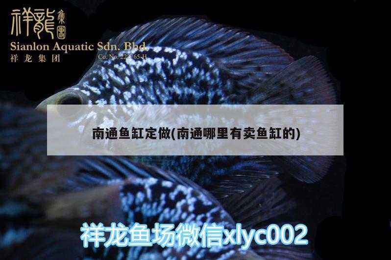 南通魚缸定做(南通哪里有賣魚缸的)