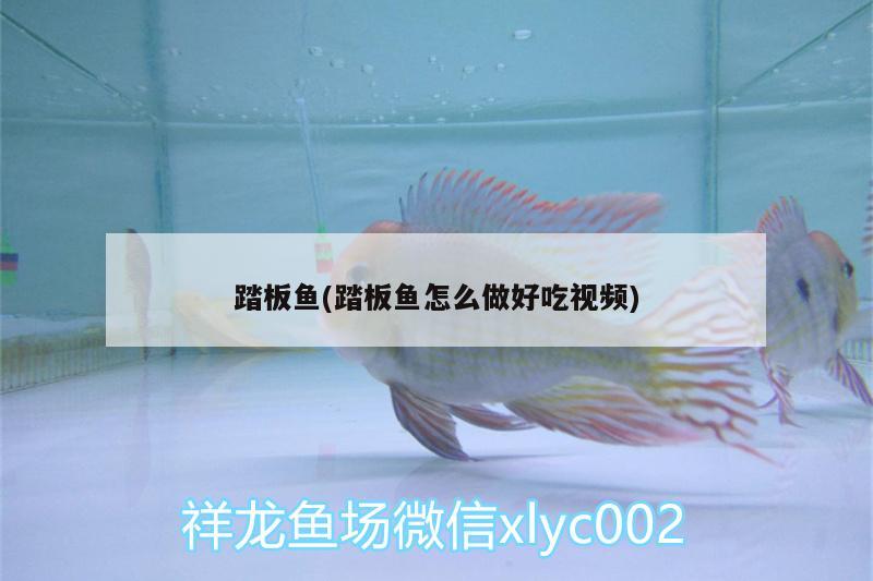 踏板魚(踏板魚怎么做好吃視頻)