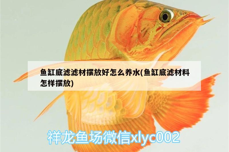 魚缸底濾濾材擺放好怎么養(yǎng)水(魚缸底濾材料怎樣擺放) 三間鼠魚