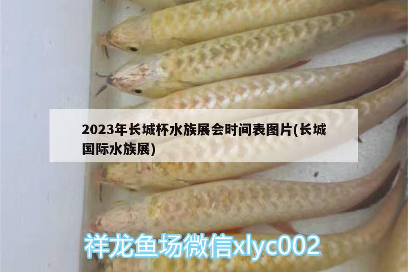 2023年長城杯水族展會時間表圖片(長城國際水族展) 水族展會