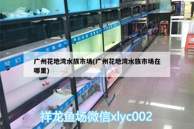 廣州花地灣水族市場(廣州花地灣水族市場在哪里) 觀賞魚水族批發(fā)市場