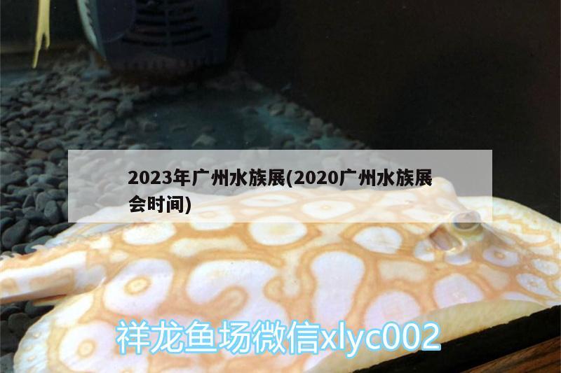 2023年廣州水族展(2020廣州水族展會(huì)時(shí)間) 水族展會(huì)