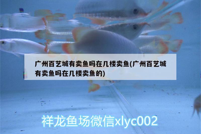 廣州百藝城有賣魚嗎在幾樓賣魚(廣州百藝城有賣魚嗎在幾樓賣魚的) 觀賞魚水族批發(fā)市場(chǎng)