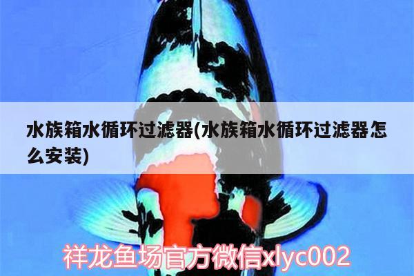 水族箱水循環(huán)過濾器(水族箱水循環(huán)過濾器怎么安裝) 魚缸/水族箱