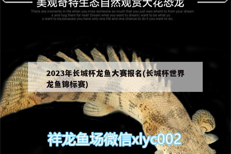 2023年長(zhǎng)城杯龍魚大賽報(bào)名(長(zhǎng)城杯世界龍魚錦標(biāo)賽)