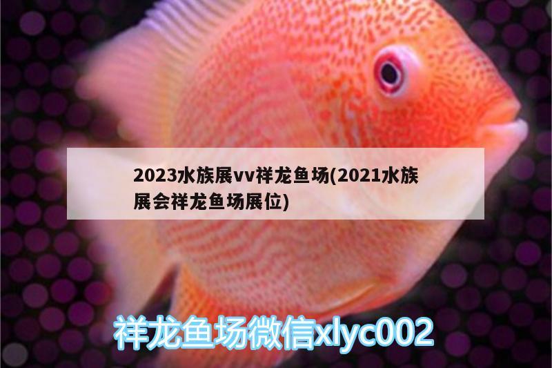 2023水族展vv祥龍魚(yú)場(chǎng)(2021水族展會(huì)祥龍魚(yú)場(chǎng)展位) 水族展會(huì)