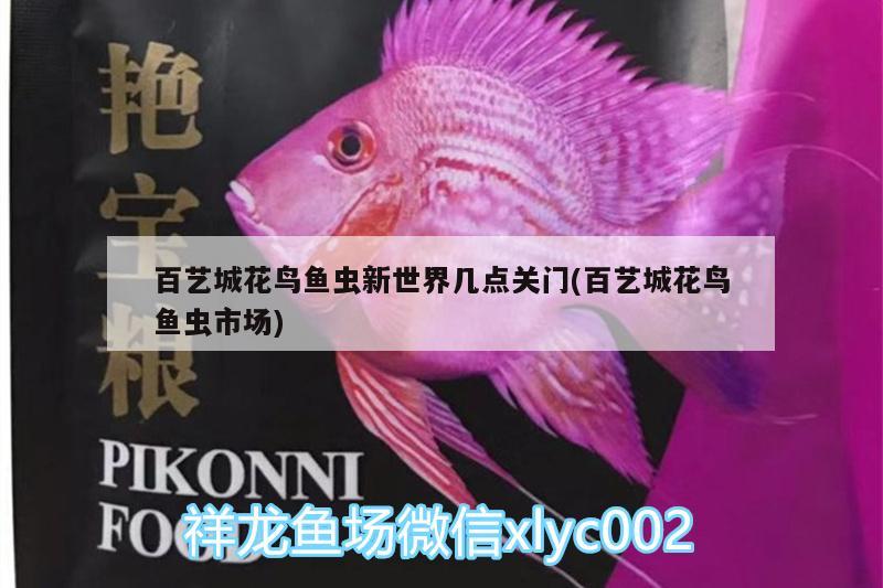 百藝城花鳥魚蟲新世界幾點關門(百藝城花鳥魚蟲市場) 觀賞魚水族批發(fā)市場