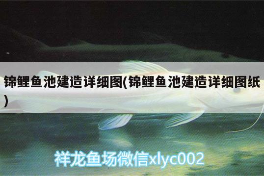 錦鯉魚池建造詳細(xì)圖(錦鯉魚池建造詳細(xì)圖紙) 銀龍魚 第2張