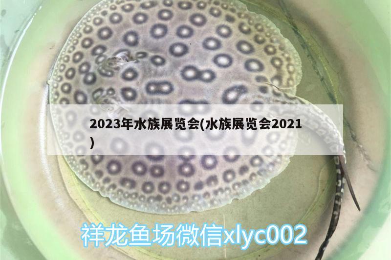 2023年水族展覽會(水族展覽會2021)