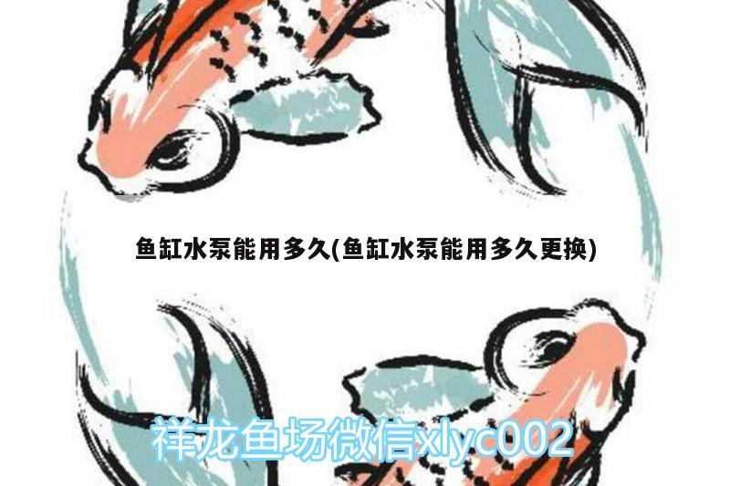 魚缸水泵能用多久(魚缸水泵能用多久更換) 魚缸水泵