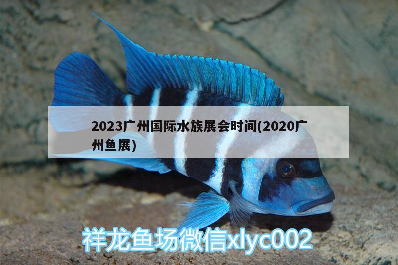 2023廣州國際水族展會時間(2020廣州魚展)