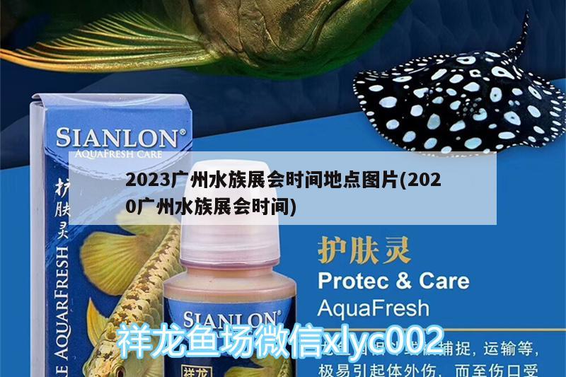 2023廣州水族展會時間地點圖片(2020廣州水族展會時間) 水族展會