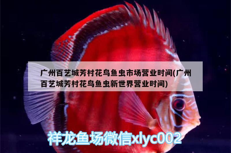 廣州百藝城芳村花鳥(niǎo)魚(yú)蟲(chóng)市場(chǎng)營(yíng)業(yè)時(shí)間(廣州百藝城芳村花鳥(niǎo)魚(yú)蟲(chóng)新世界營(yíng)業(yè)時(shí)間)