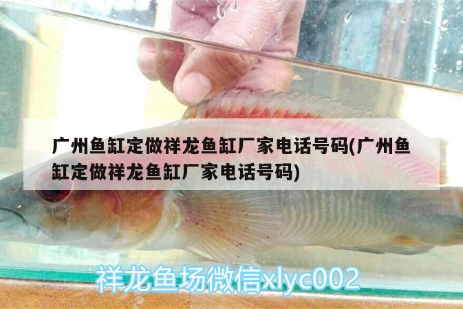 廣州魚缸定做祥龍魚缸廠家電話號碼(廣州魚缸定做祥龍魚缸廠家電話號碼)