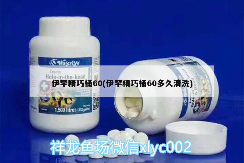 伊罕精巧桶60(伊罕精巧桶60多久清洗)