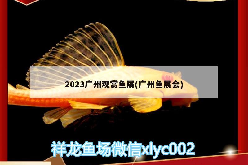 2023廣州觀賞魚展(廣州魚展會(huì))