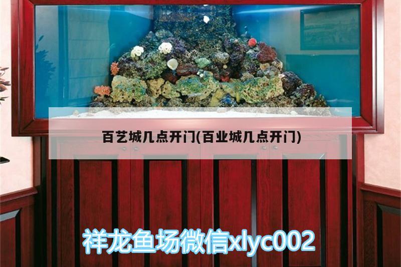 百藝城幾點(diǎn)開門(百業(yè)城幾點(diǎn)開門) 觀賞魚水族批發(fā)市場