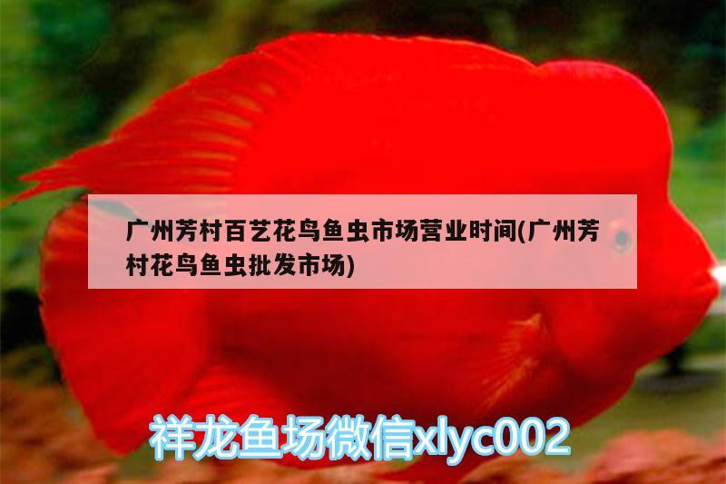 廣州芳村百藝花鳥(niǎo)魚(yú)蟲(chóng)市場(chǎng)營(yíng)業(yè)時(shí)間(廣州芳村花鳥(niǎo)魚(yú)蟲(chóng)批發(fā)市場(chǎng)) 觀賞魚(yú)水族批發(fā)市場(chǎng)