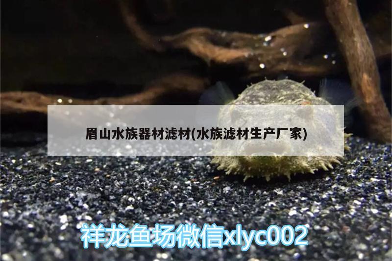 眉山水族器材濾材(水族濾材生產(chǎn)廠家) 祥龍藍(lán)珀金龍魚