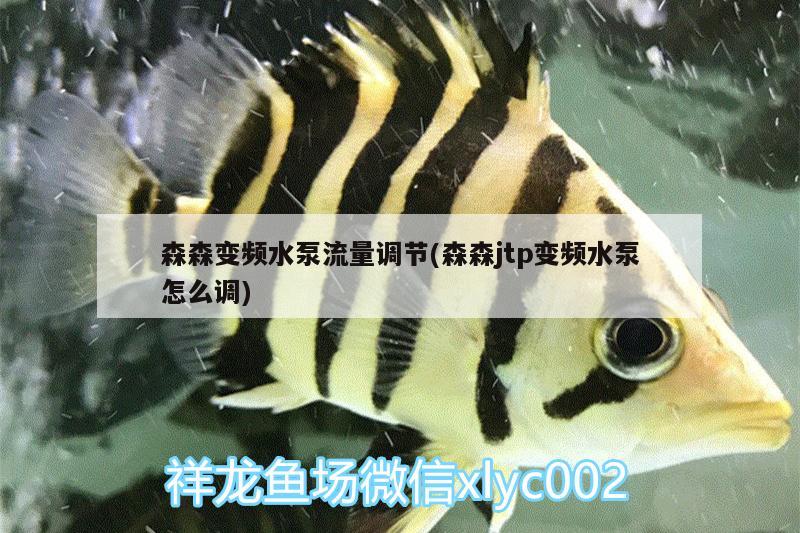 森森變頻水泵流量調(diào)節(jié)(森森jtp變頻水泵怎么調(diào)) 圖騰金龍魚