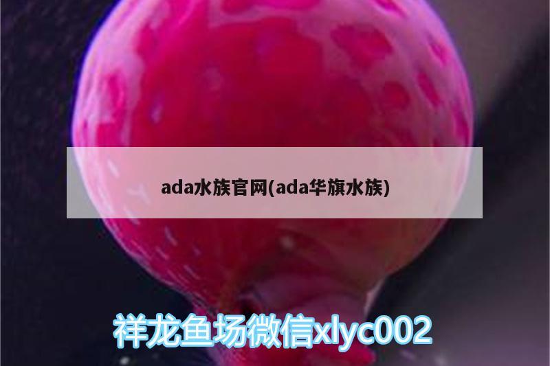 ada水族官網(wǎng)(ada華旗水族) 觀賞蝦蟹等飼料