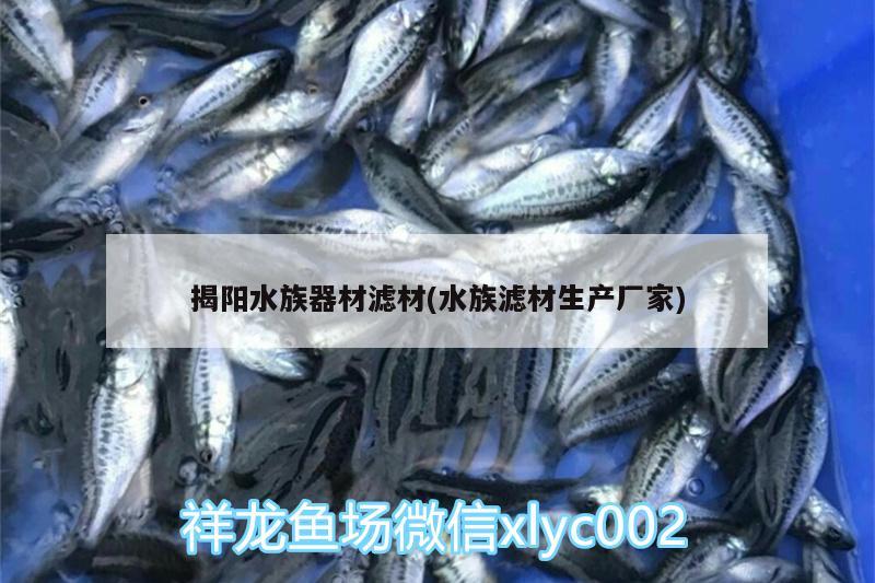 揭陽水族器材濾材(水族濾材生產(chǎn)廠家)