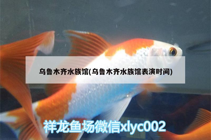 烏魯木齊水族館(烏魯木齊水族館表演時(shí)間)